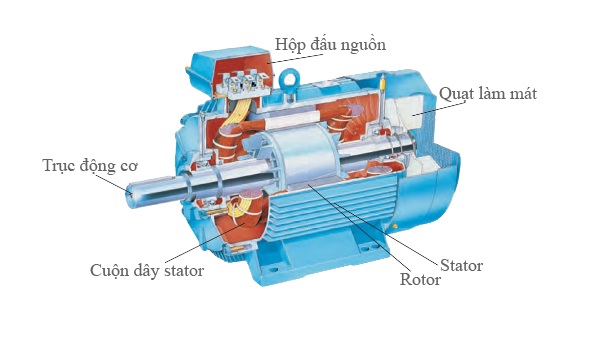 Hình ảnh minh họa cấu tạo của động cơ điện